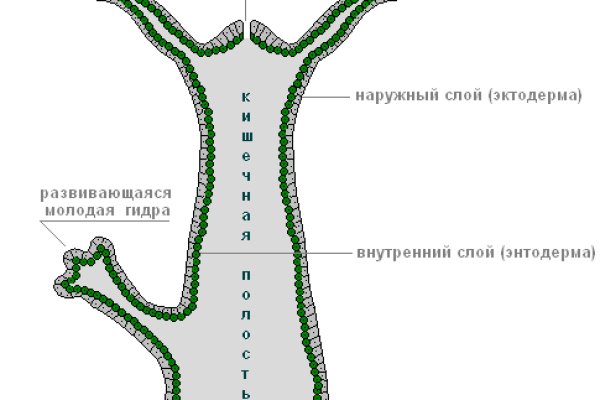 Требует 2fa blacksprut код