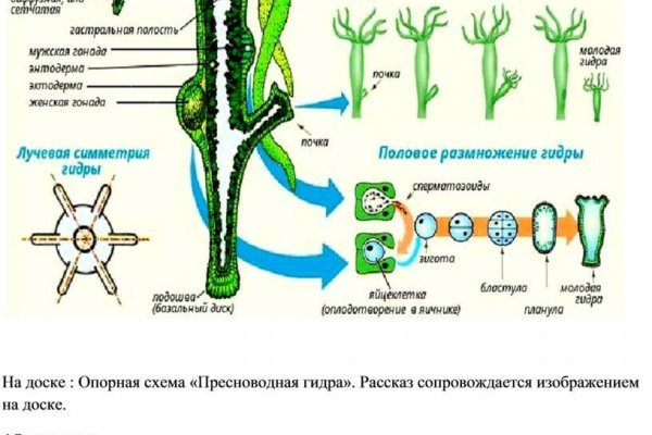 База блэкспрут с адресами bs2web top