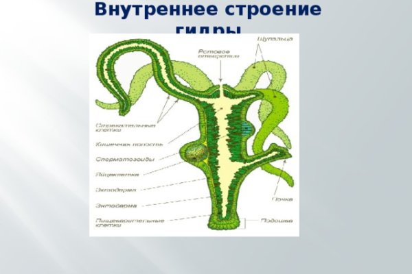 Блэкспрут через тор 1blacksprut me